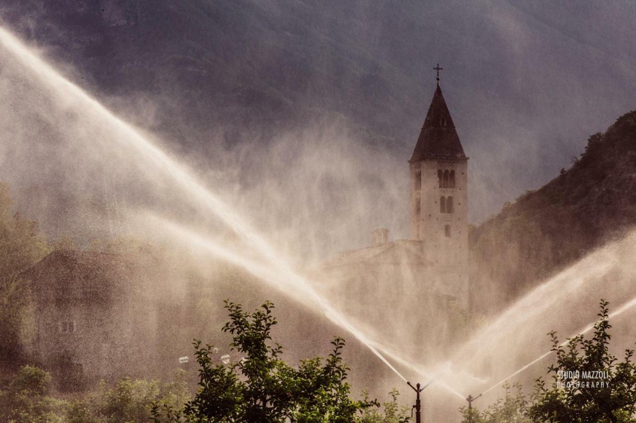 Aosta Quality Apartments Екстериор снимка